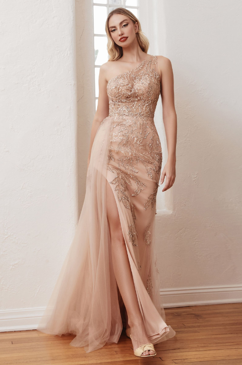 One Shoulder Gown - LL098EV