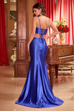 Two Piece Gown - TR493