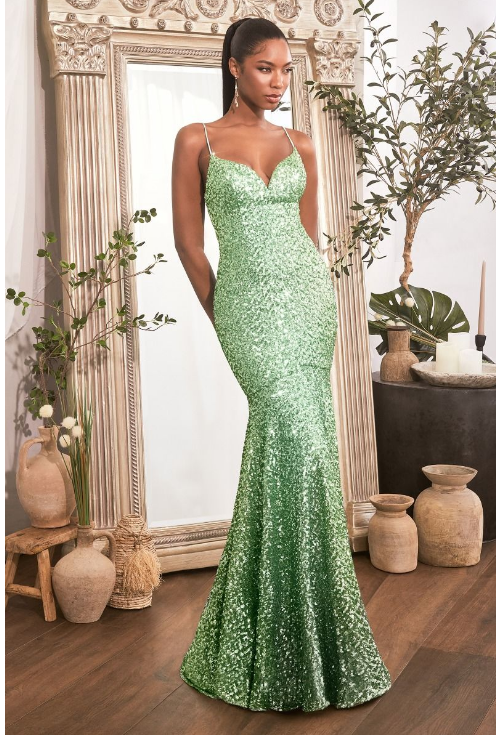 Mermaid Gown - LL066EV