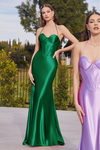 Fitted Gown - TR112