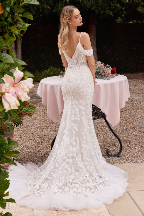 Fitted Lace Bridal Gown - LL703B