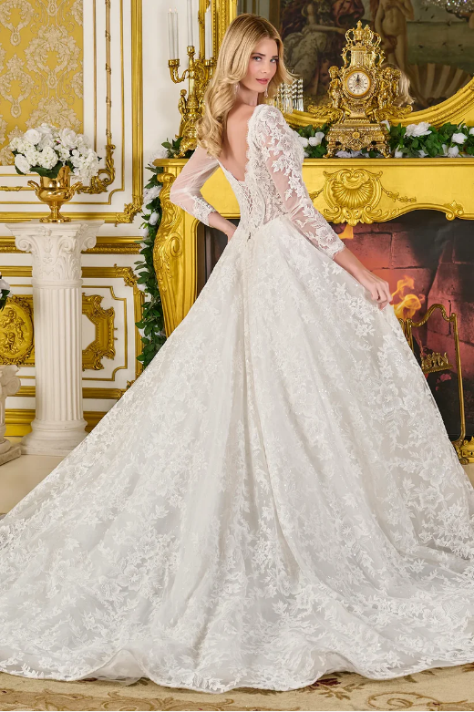 Corset Ball gown Bridal Dress - LL3819B