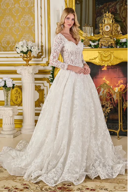 Corset Ball gown Bridal Dress - LL3819B