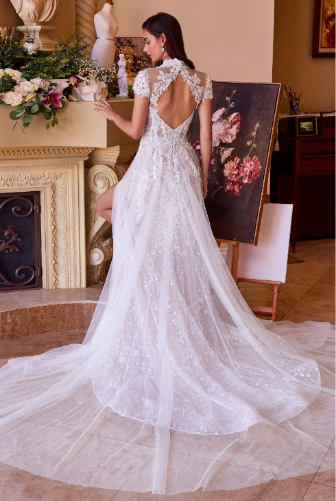 Short Sleeve Wedding Dress - LL035B