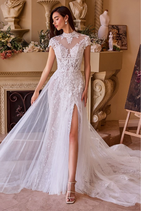 Short Sleeve Wedding Dress - LL035B