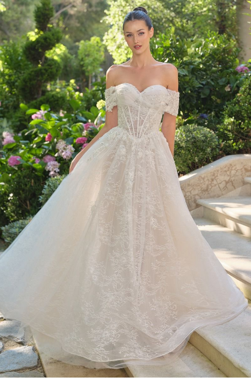 Corset Ball Gown Dress - LL090B